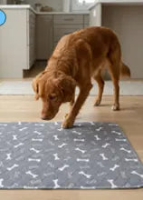 Dog pad lifestyle reference