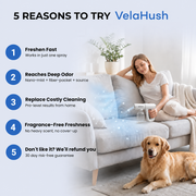 Five reasons pet owners choose VelaHush