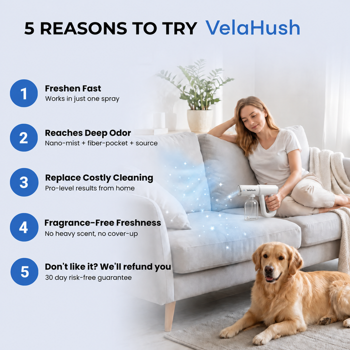 VelaHush sprayer beside a sofa with a dog