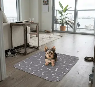 Dog pad lifestyle reference