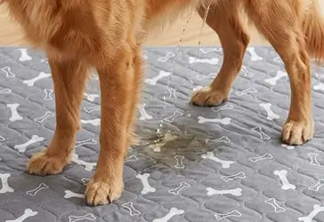 Keep A Clean Pad Ready