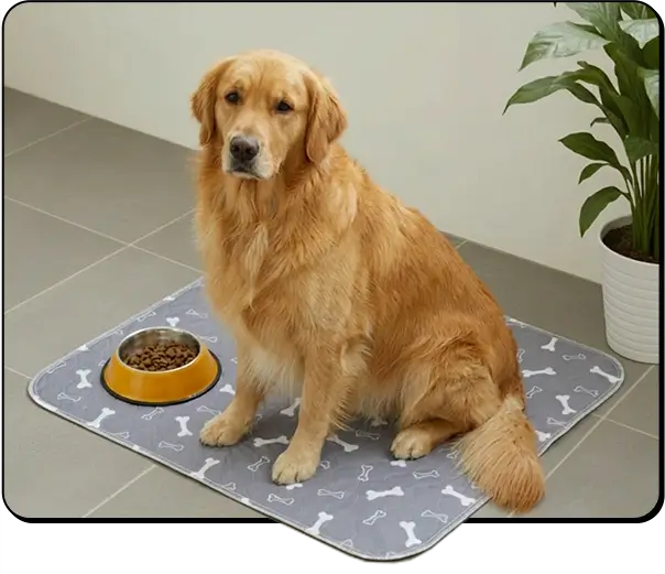 A Reusable Surface For A Routine You Can Keep